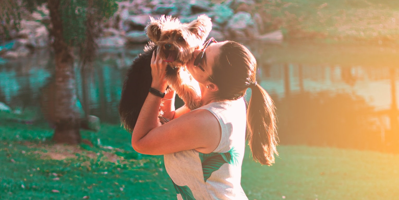 amor por los animales por Flavio Teixeira via Unsplash