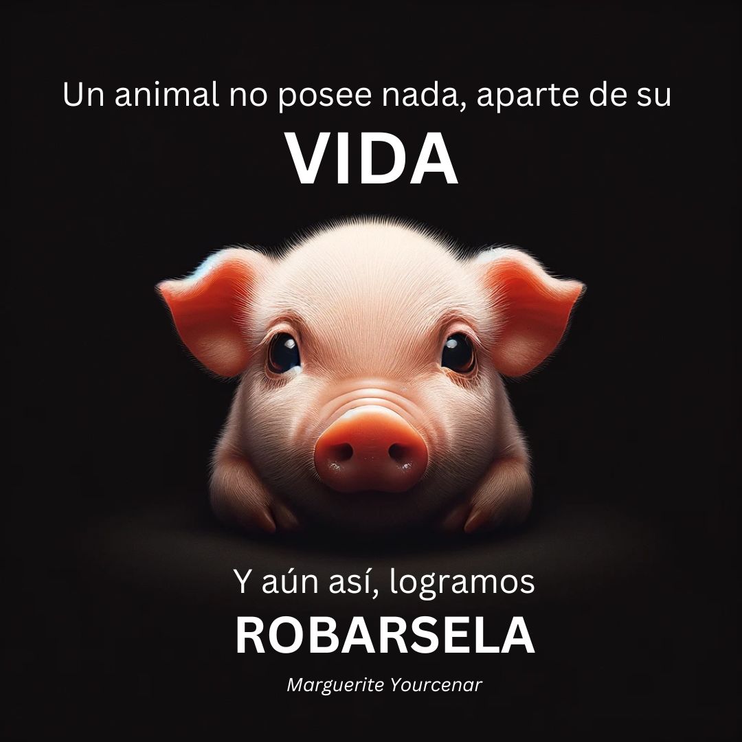 Un-animal-no-posee-nada-aparte-de-su-vida